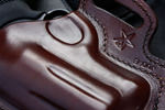 Holster shots